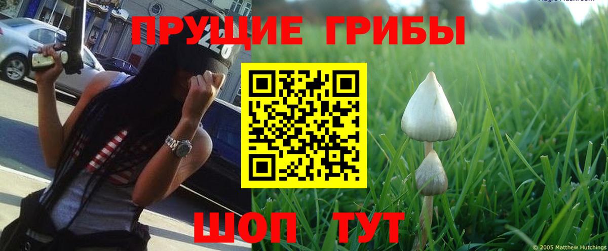 Псилоцибиновые грибы MAGIC MUSHROOMS  Вход с VPN  Сыктывкар 